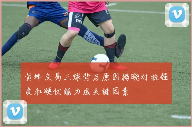 黄蜂交易三球背后原因揭晓对抗强度和硬仗能力成关键因素