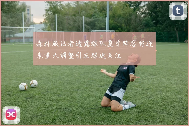 森林狼记者透露球队夏季阵容将迎来重大调整引发球迷关注